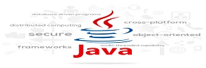 JAVA